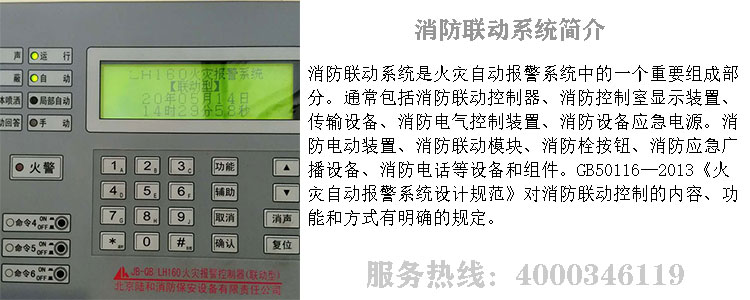 ���������S��